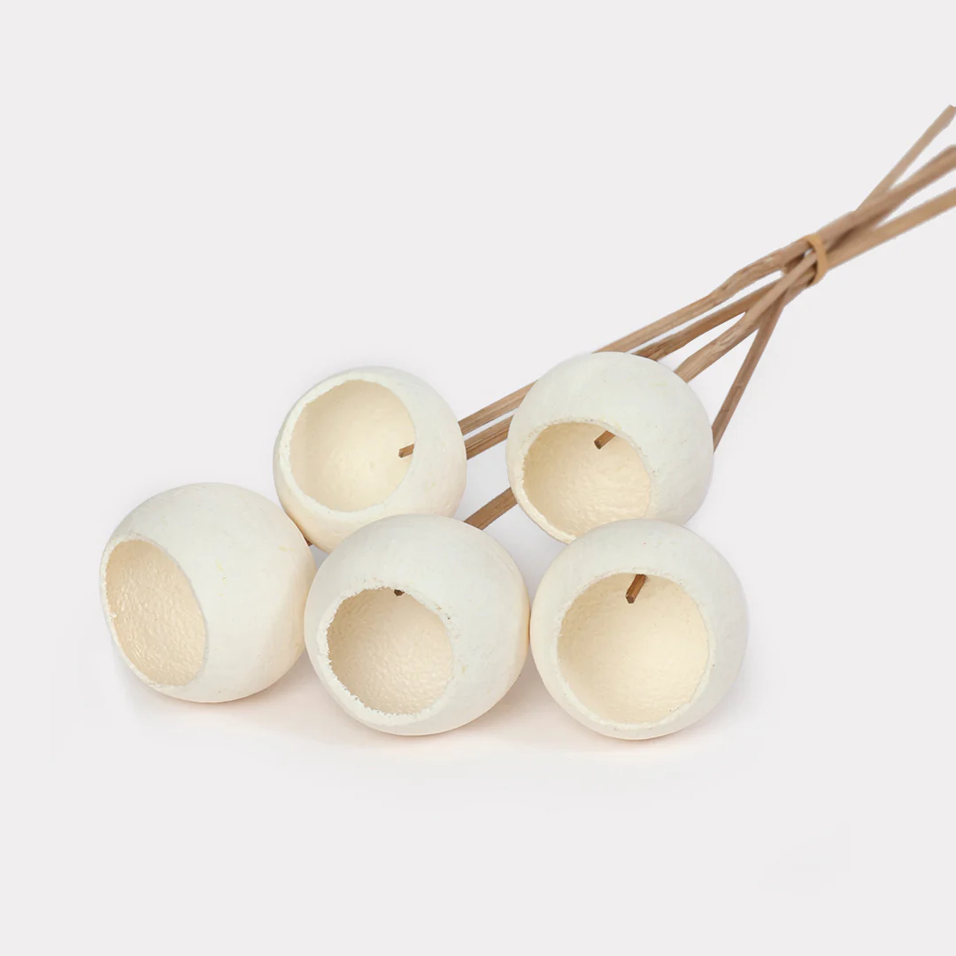 Bell Cup Dried Stems - Set of 5 - Image 3