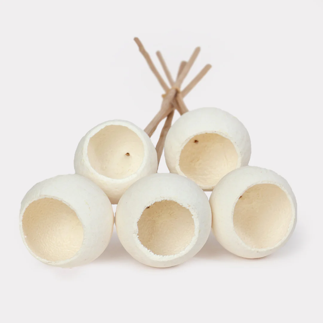 Bell Cup Dried Stems - Set of 5 - Image 4
