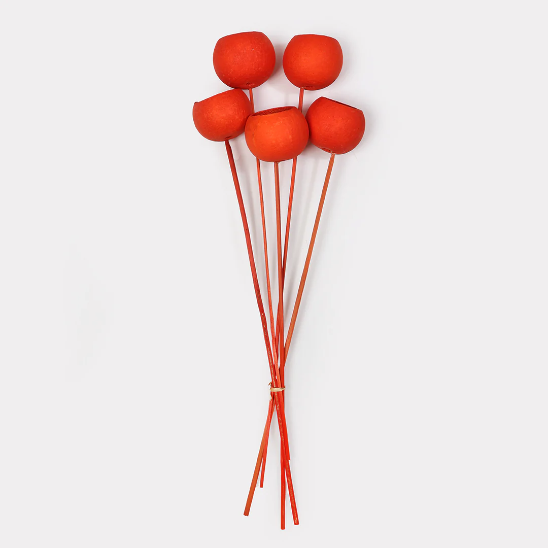 Bell Cup Dried Stems - Set of 5 - Image 6