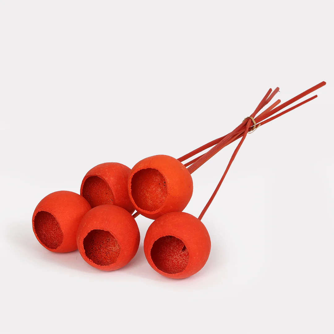 Bell Cup Dried Stems - Set of 5 - Image 7
