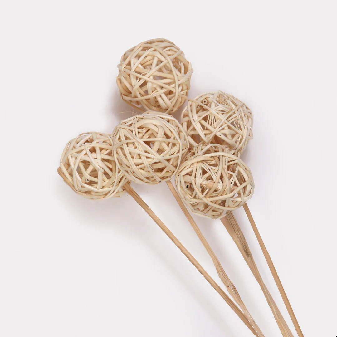Brunch Ball Stems - Set of 5 - Image 4