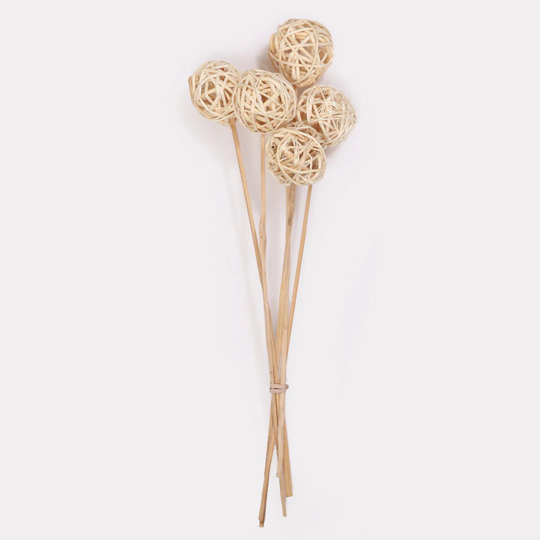 Brunch Ball Stems - Set of 5 - Image 5