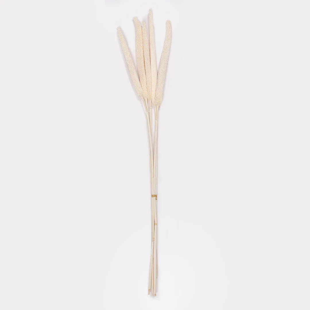 Dried Babala Stems - Set of 5 - Image 2