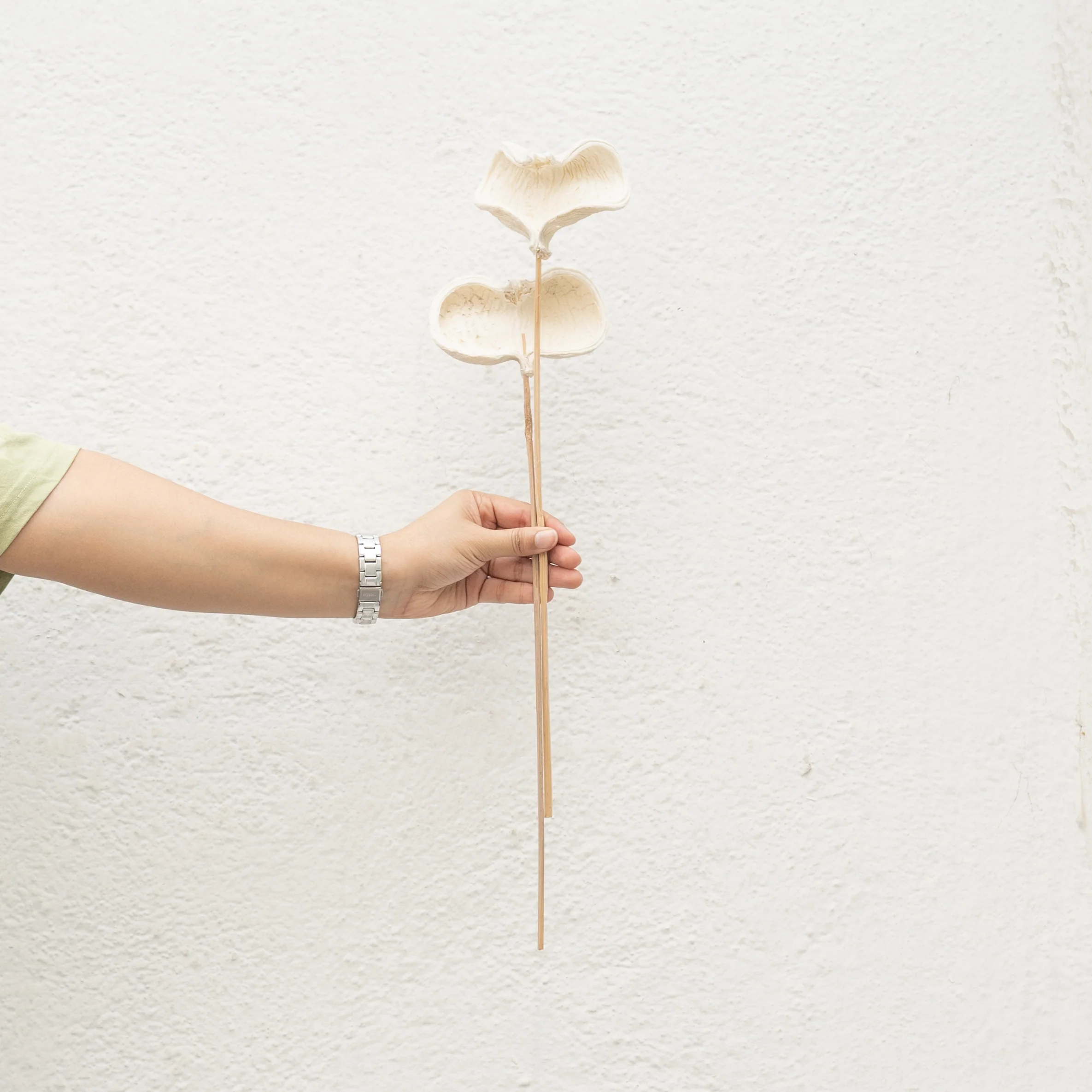 Badam Stems - Set of 5 - Image 2