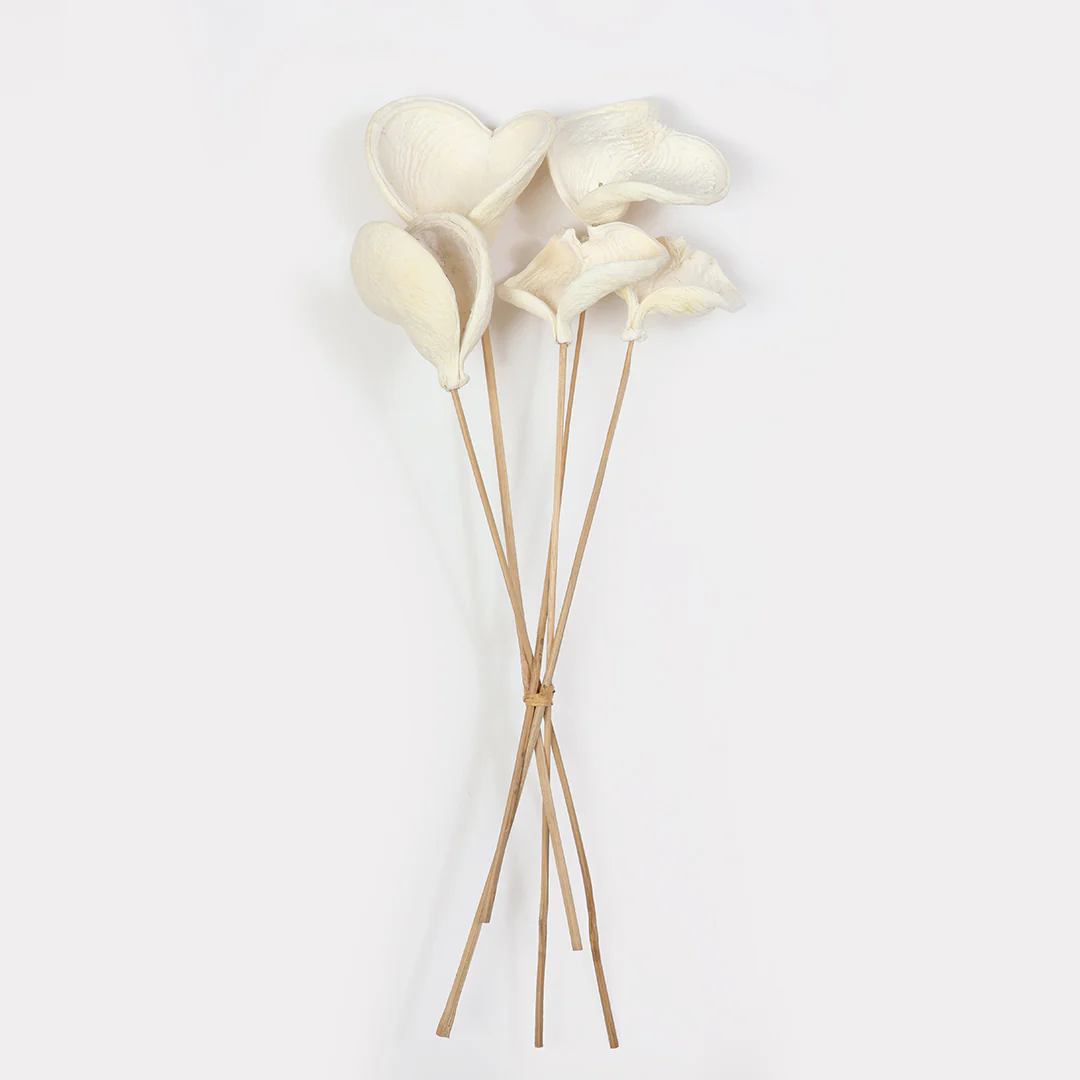 Badam Stems - Set of 5 - Image 3