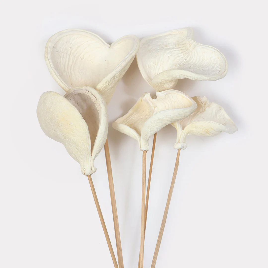 Badam Stems - Set of 5 - Image 4