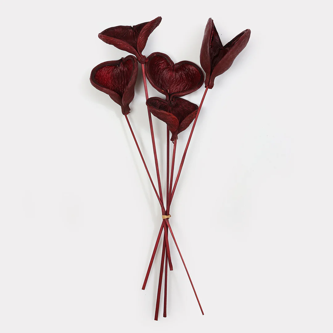 Badam Stems - Set of 5 - Image 5