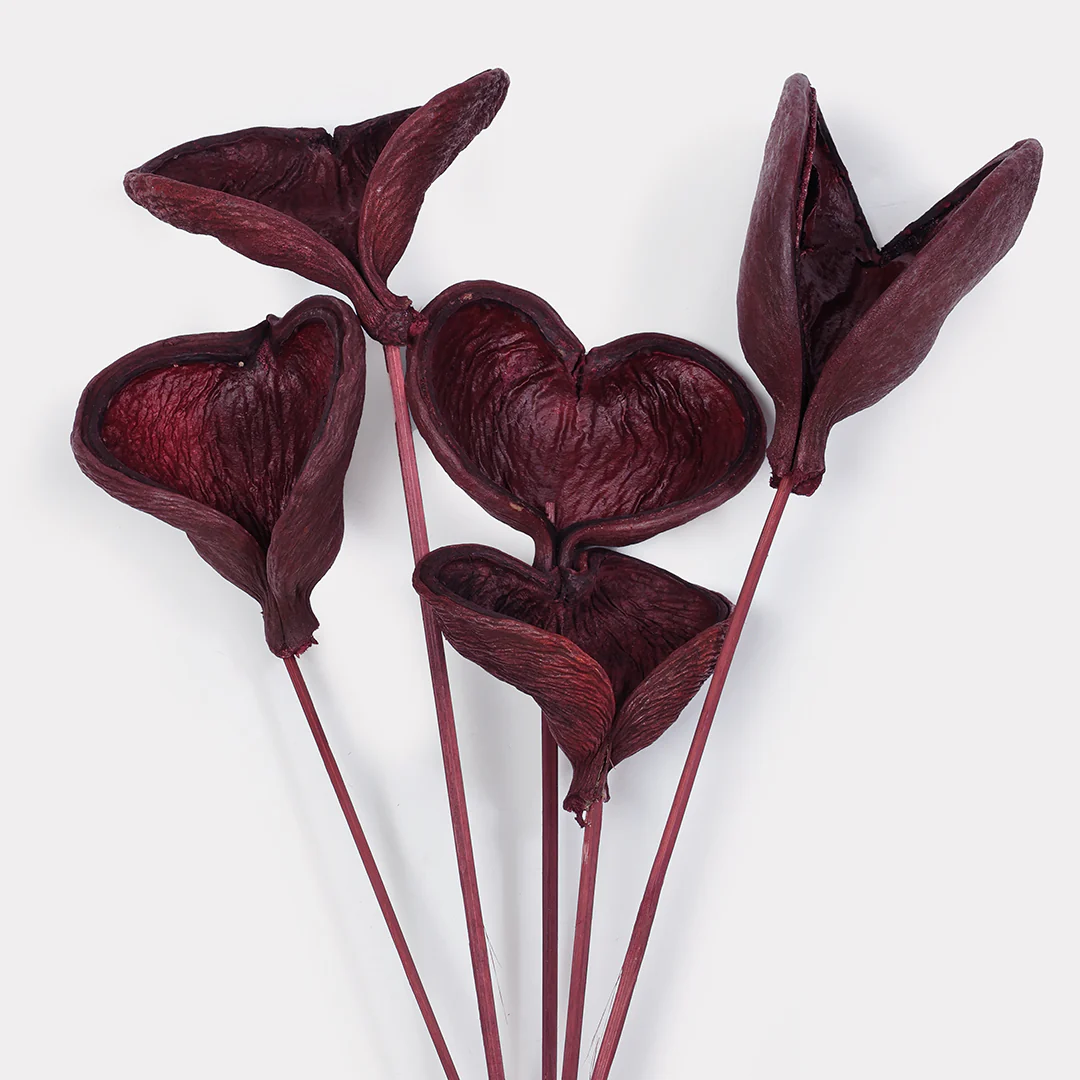 Badam Stems - Set of 5 - Image 6