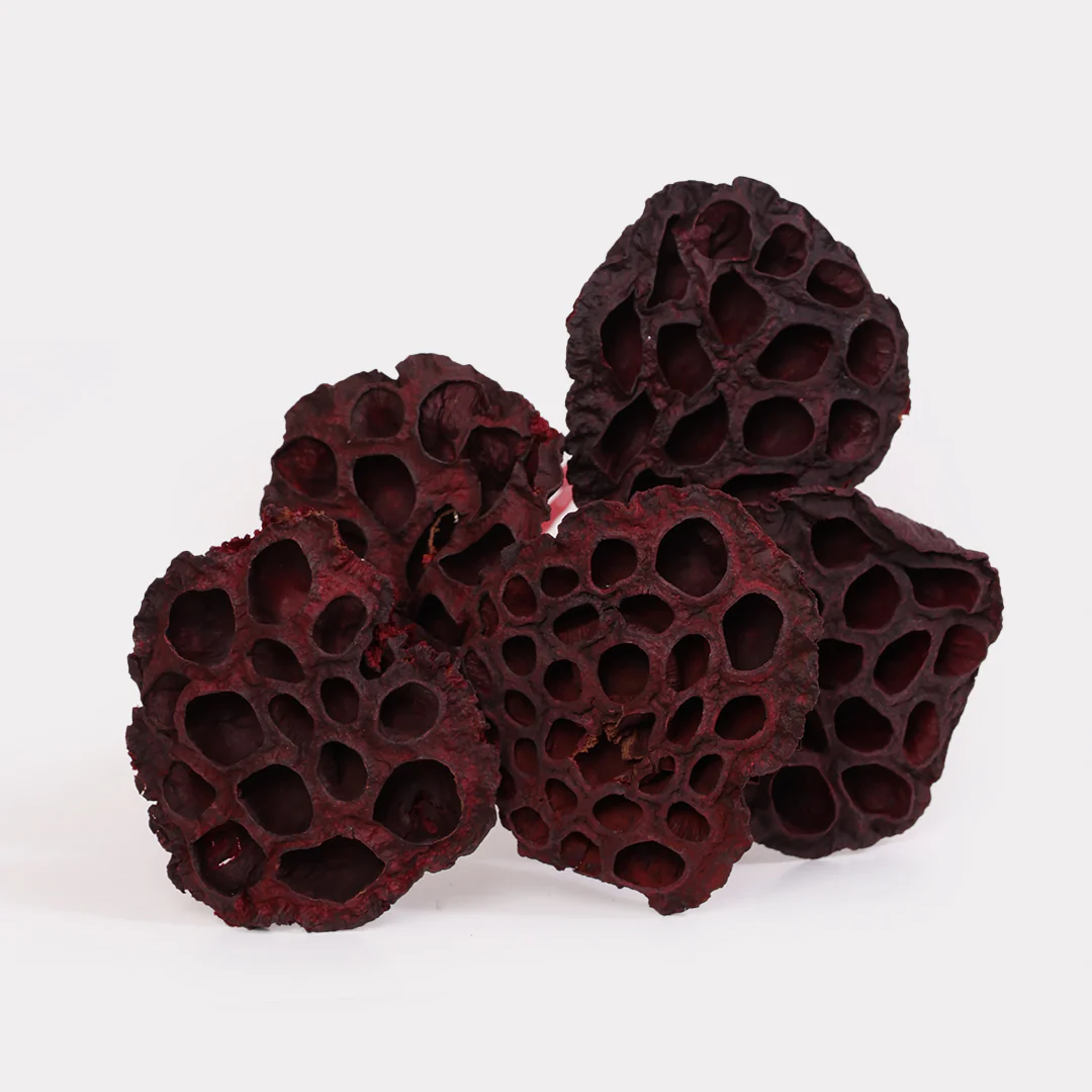 Lotus Pod Dried Stems Set of 5 - Image 2