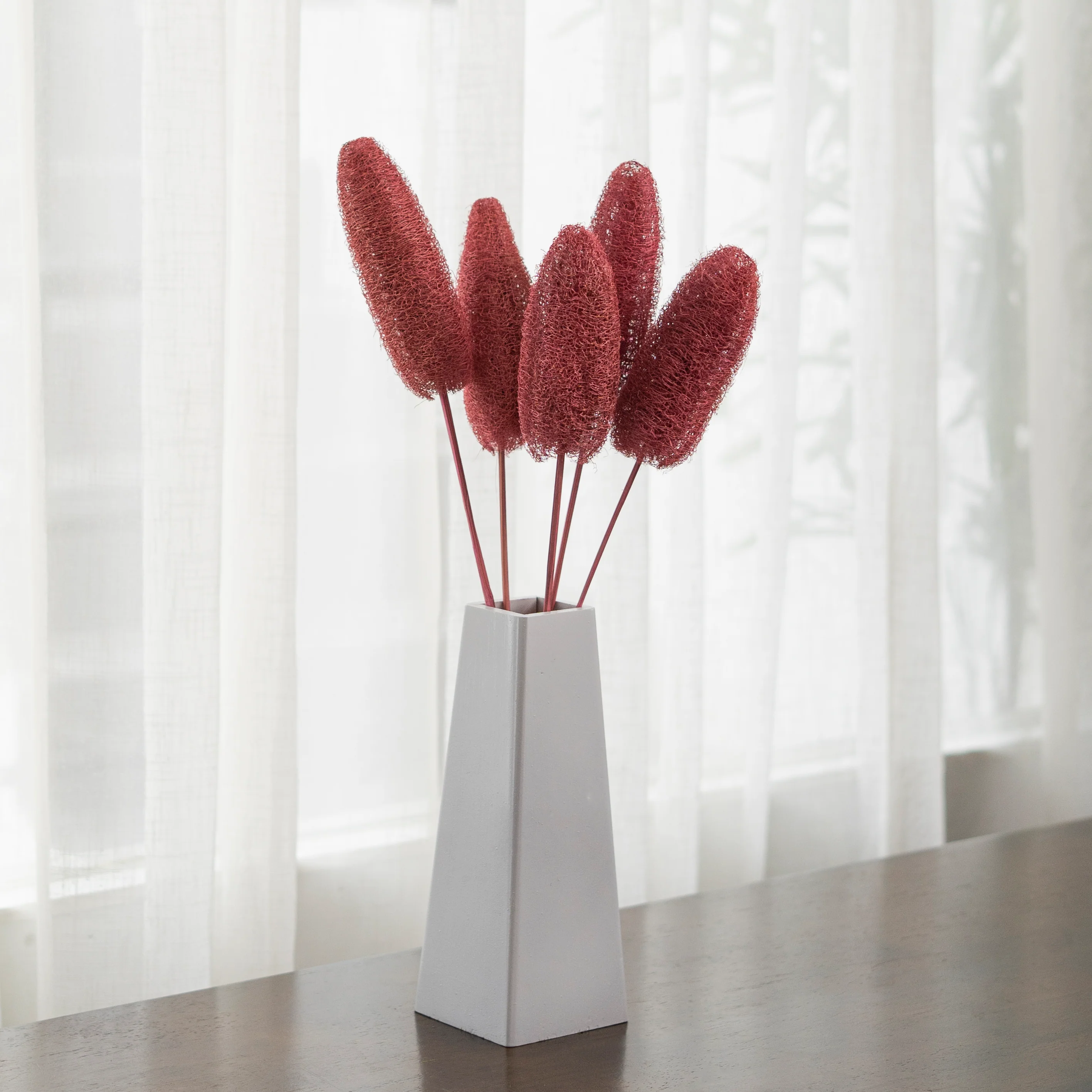 Luffa Dried Stems Set of 5 - Image 3
