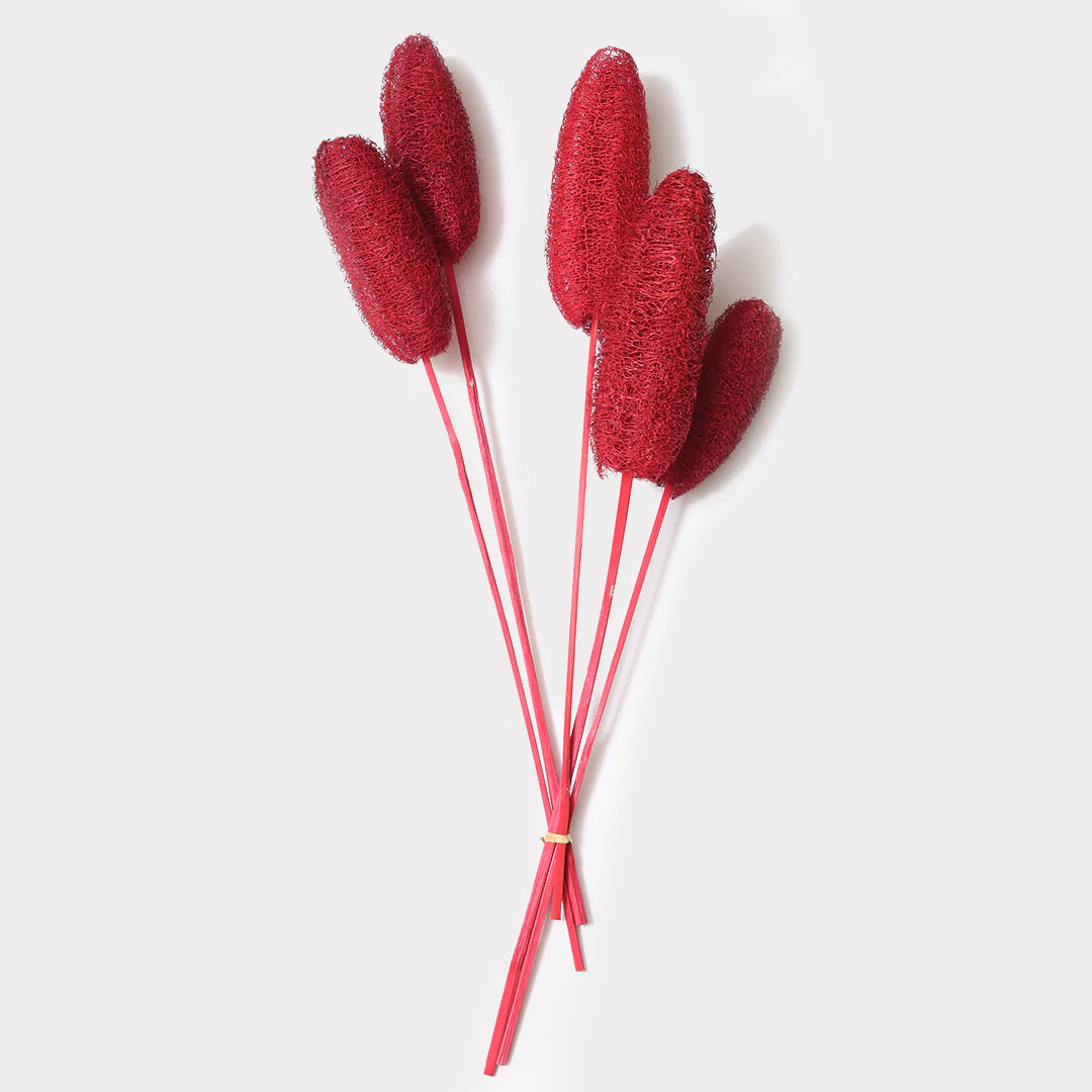 Luffa Dried Stems Set of 5 - Image 7