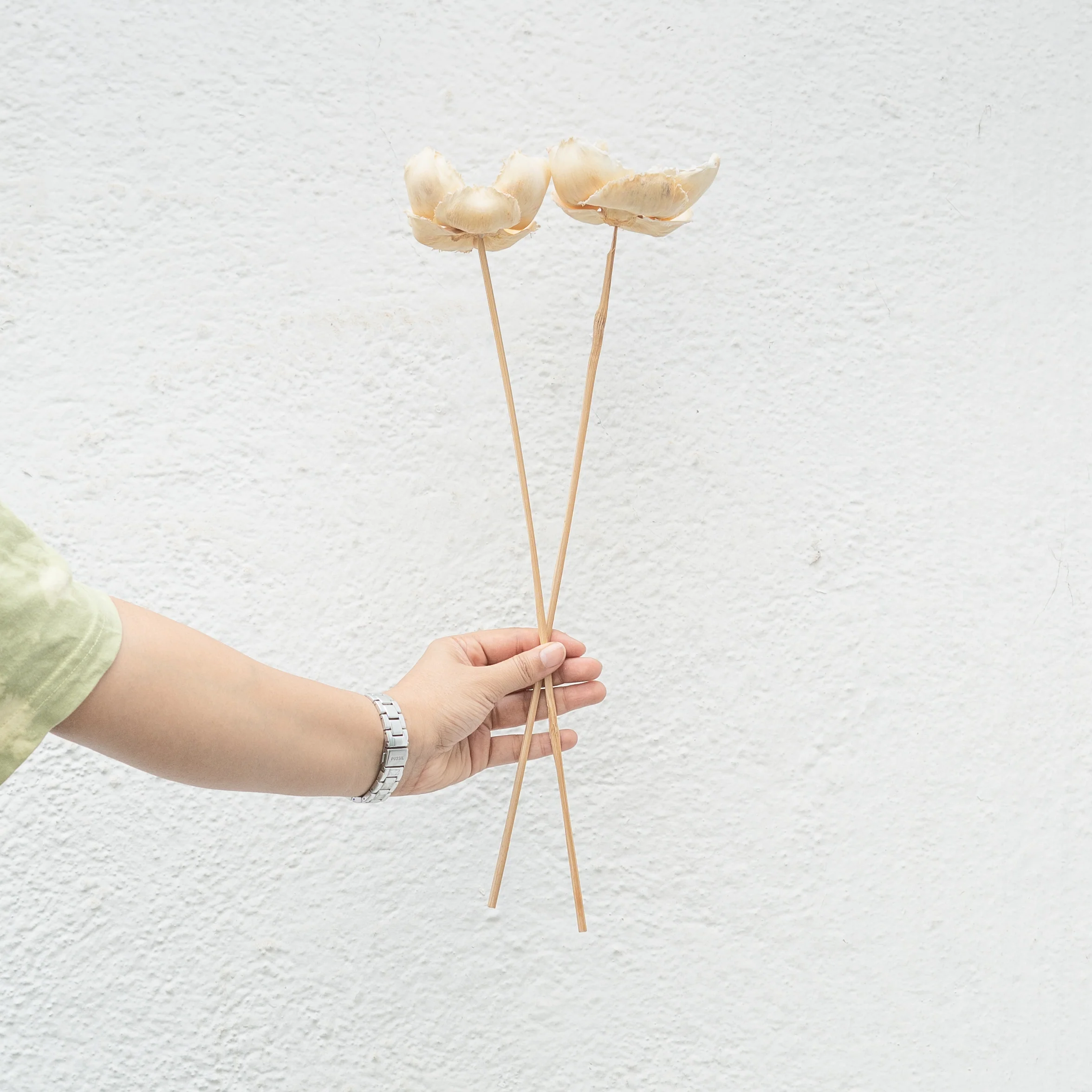 Dried Palm Cup Stems - Set of 5