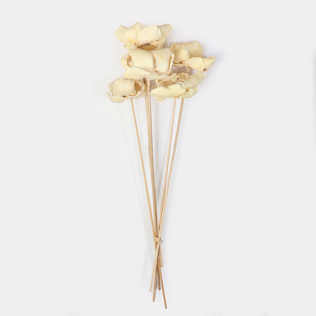 Dried Palm Cup Stems - Set of 5 - Image 3