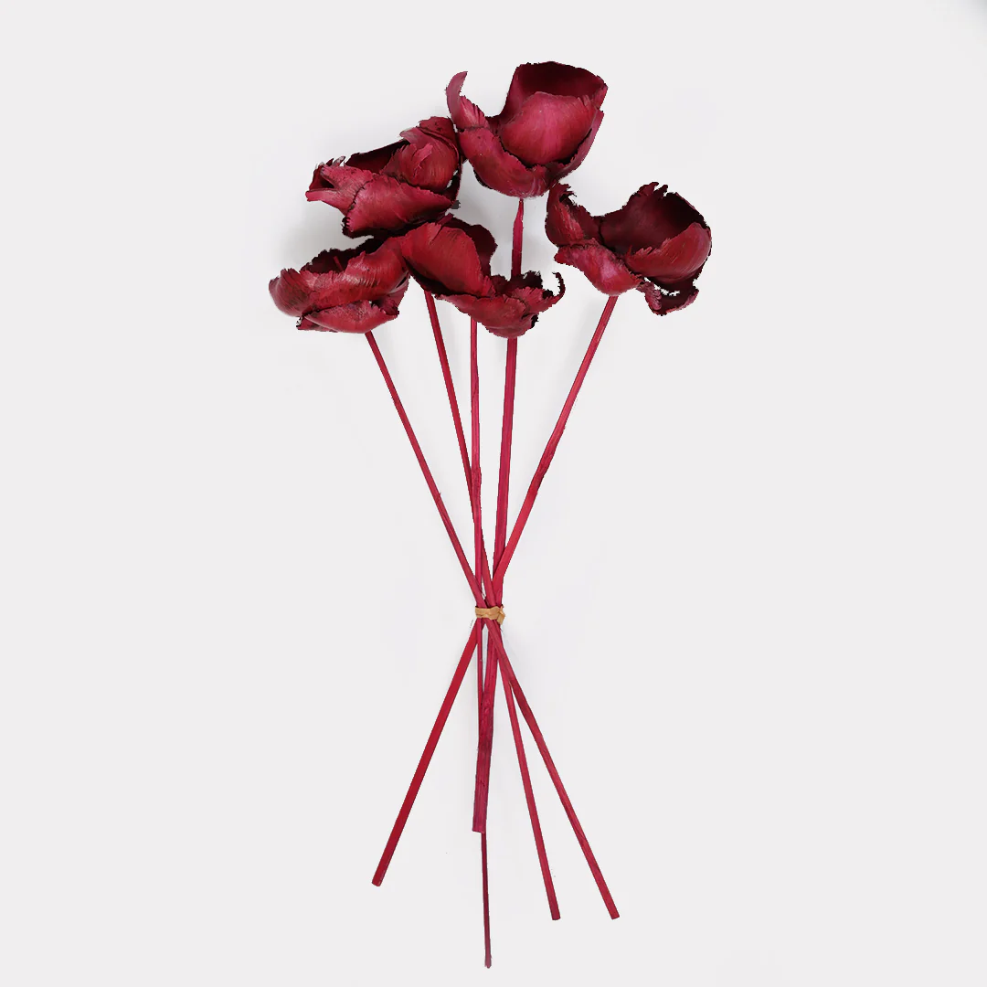 Dried Palm Cup Stems - Set of 5 - Image 6