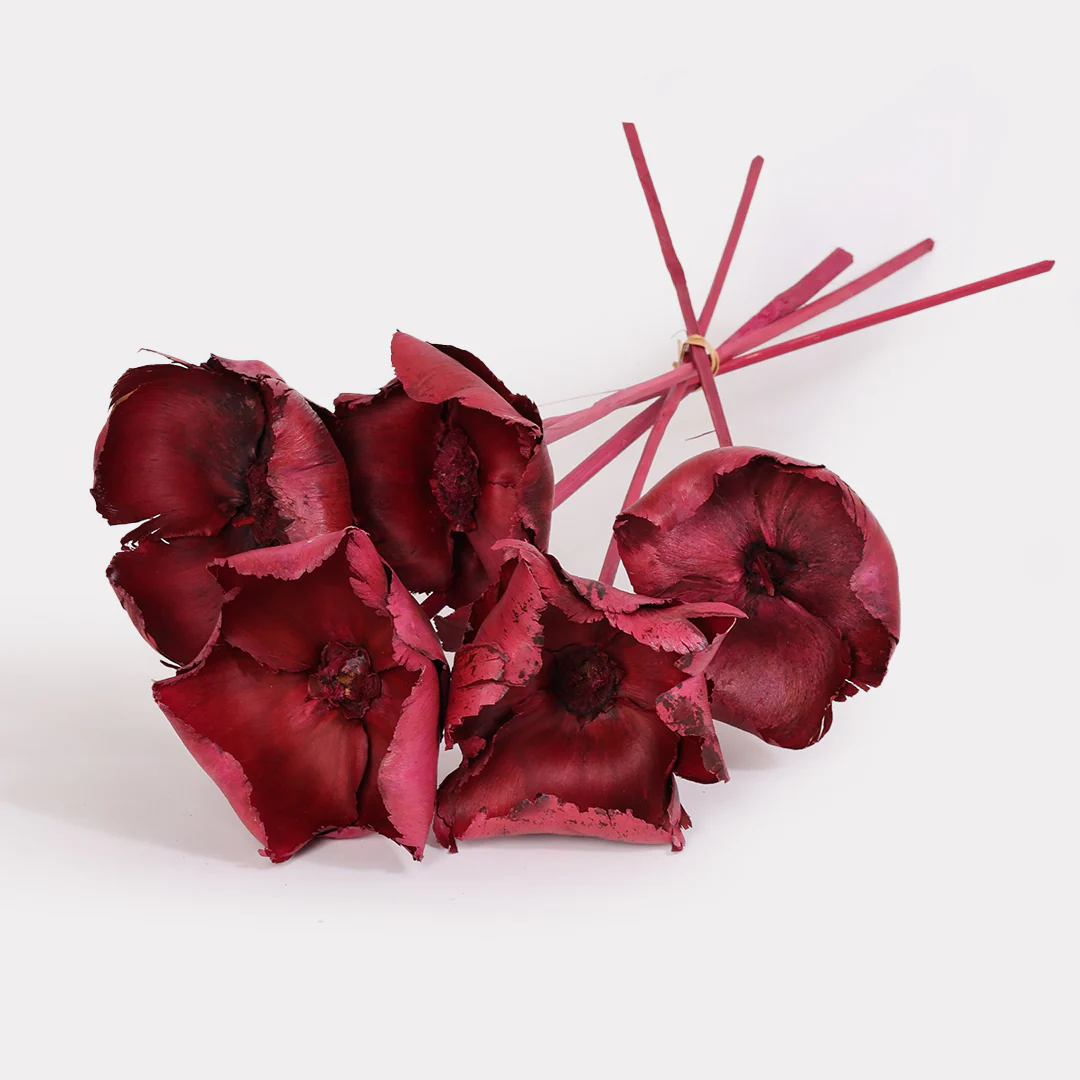 Dried Palm Cup Stems - Set of 5 - Image 7