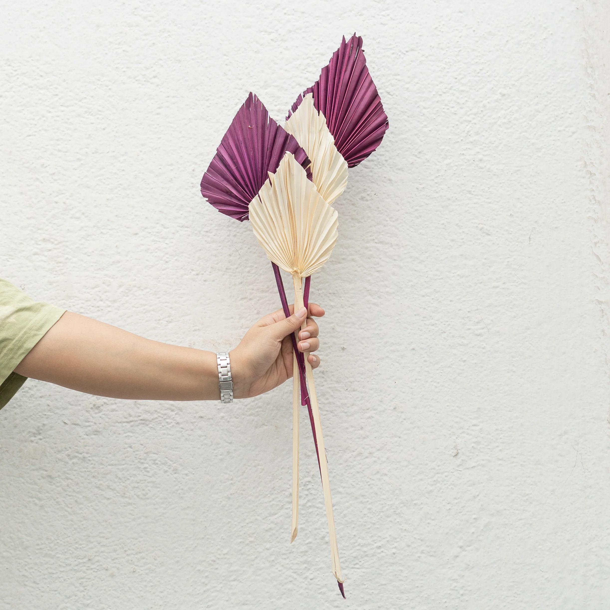 Palm Spear Dried Stems Set of 3 - Image 2