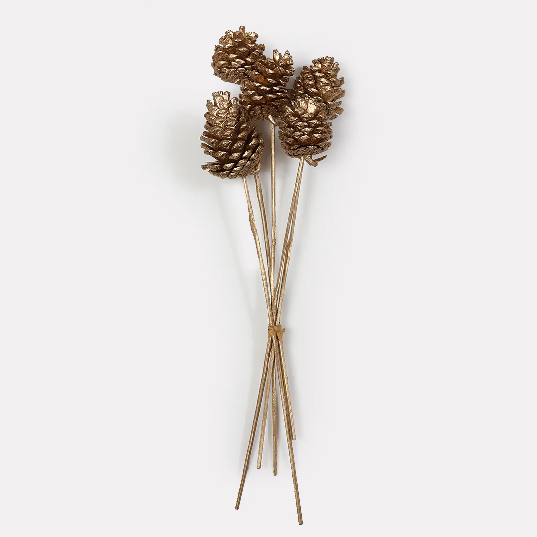 Dried Pine Stems - Set of 5 - Image 2