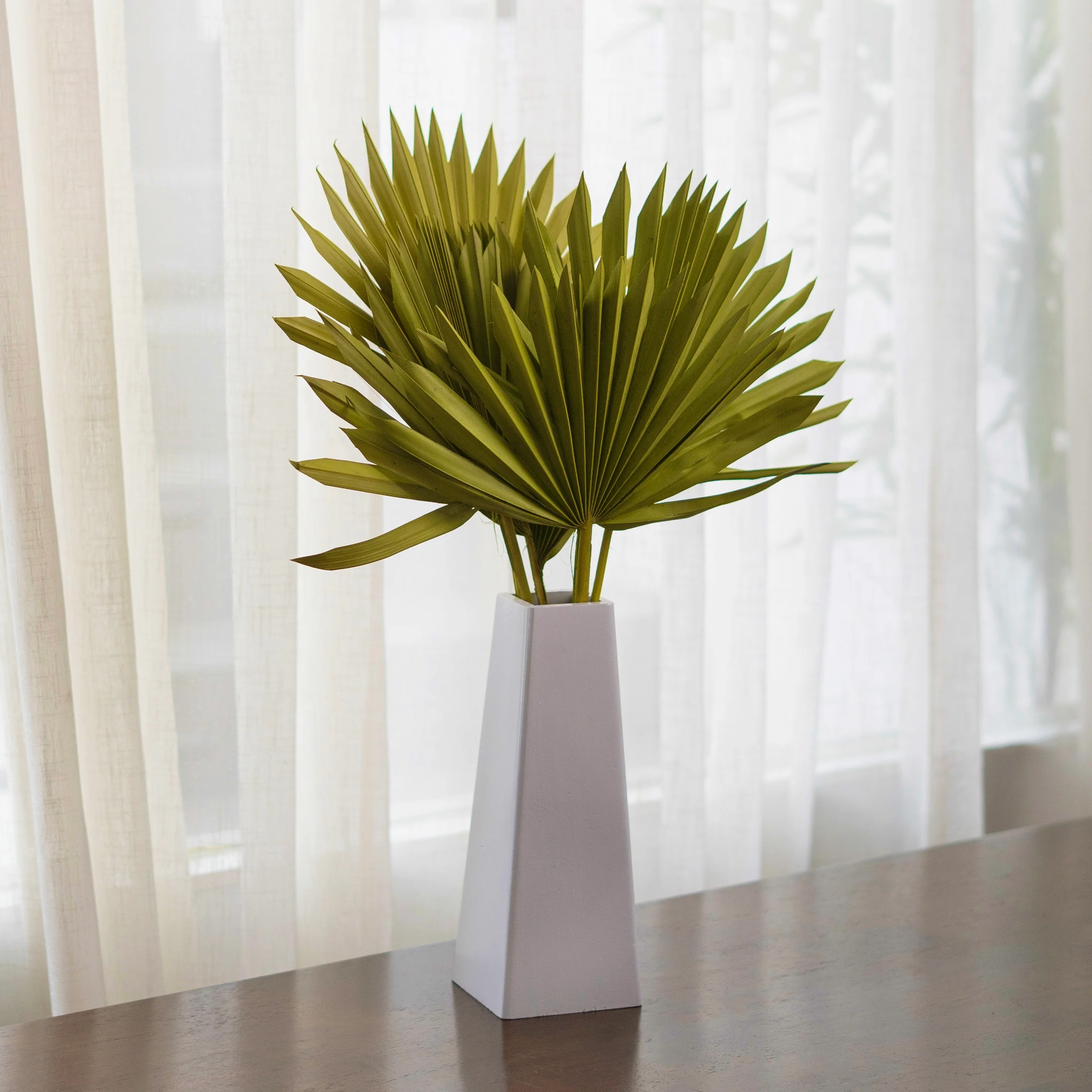 Sun Spear Dried Stems Set of 3 - Image 2