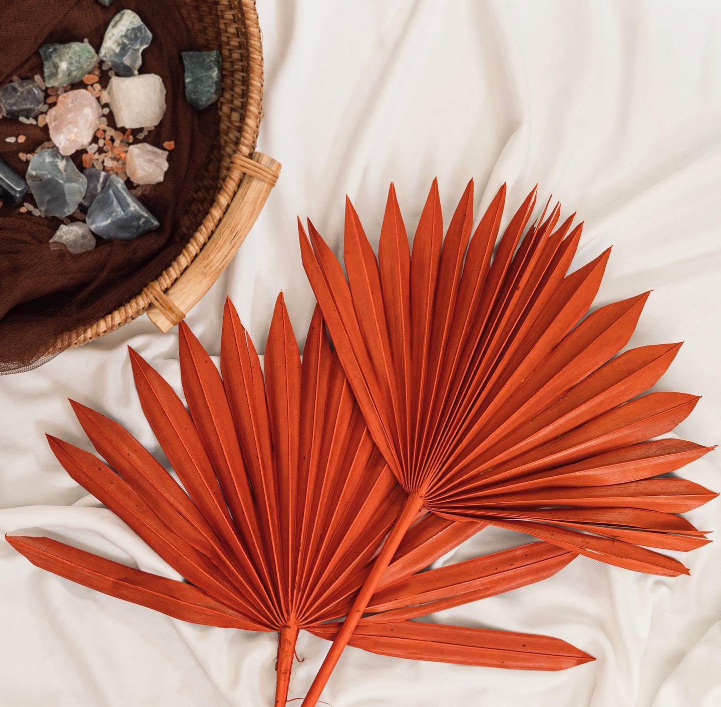 Sun Spear Dried Stems Set of 3 - Image 3