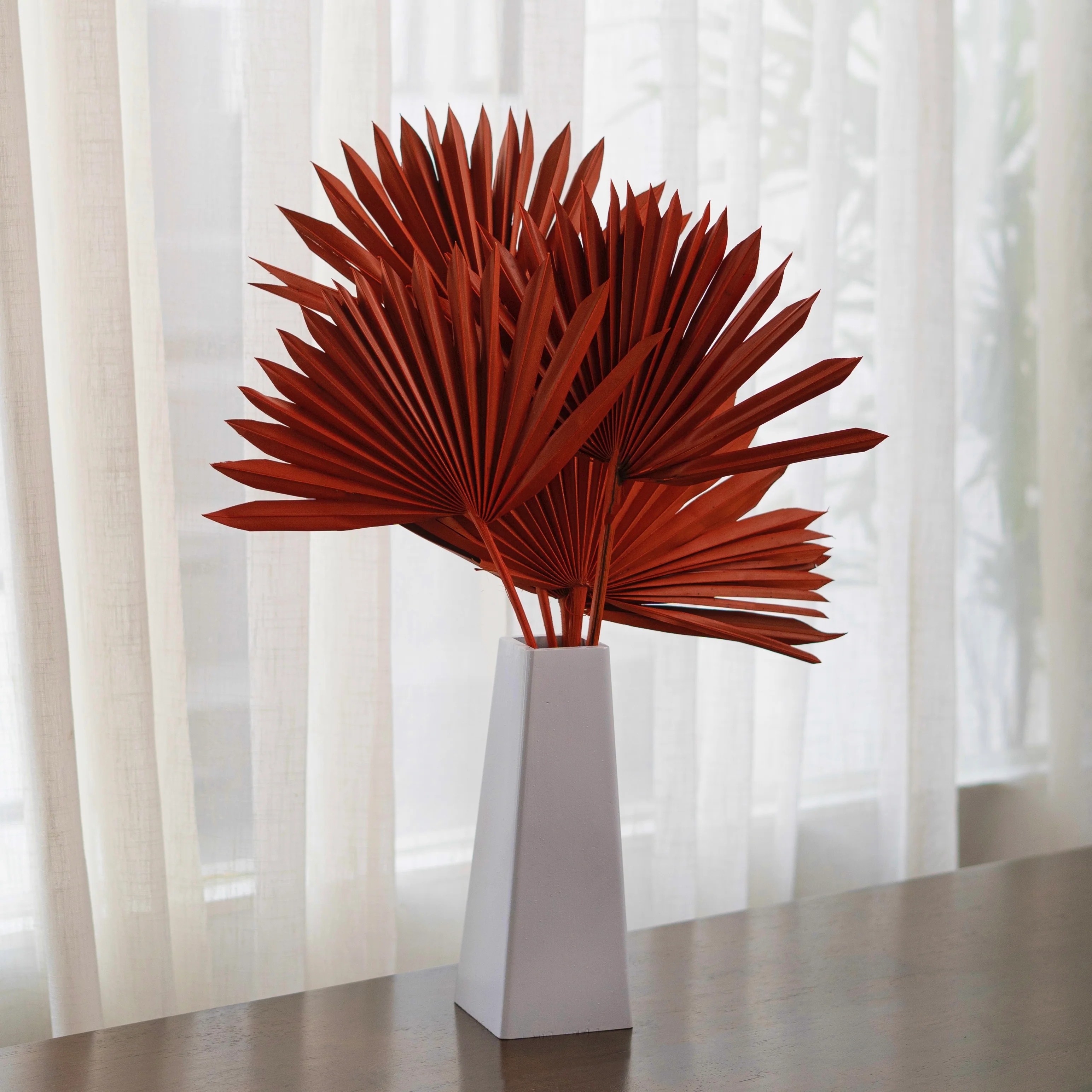 Sun Spear Dried Stems Set of 3 - Image 9