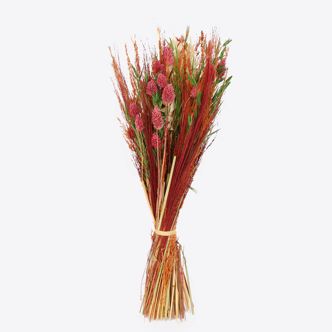 Springday dried flower bunches - Image 4