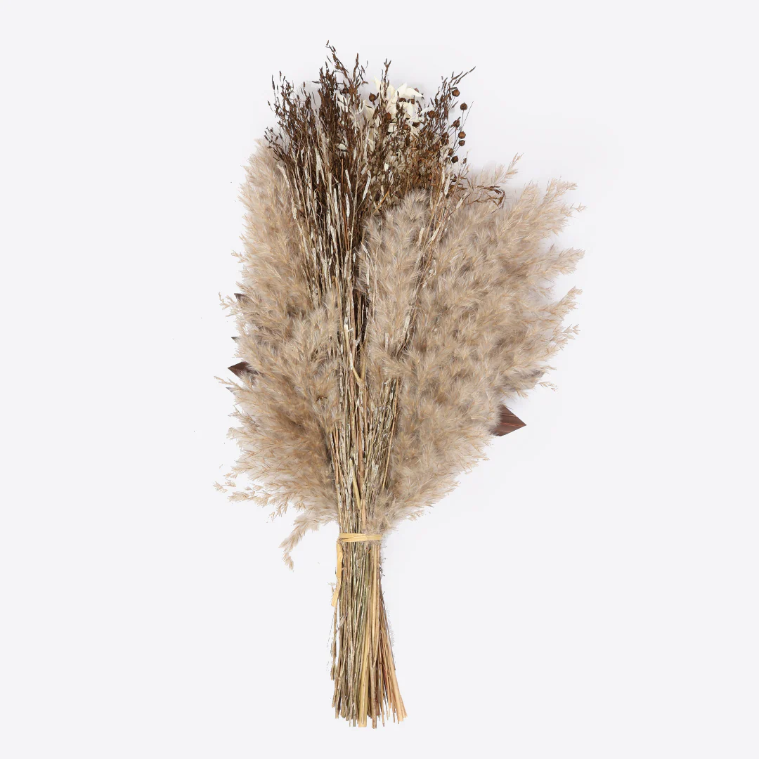 True Brown Dried Flower Bunch - Image 3